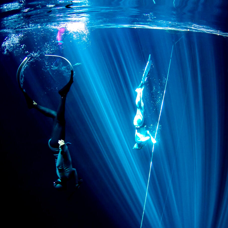 Creating an intimate team dedicated to delivering top-tier quality and personalized experiences.