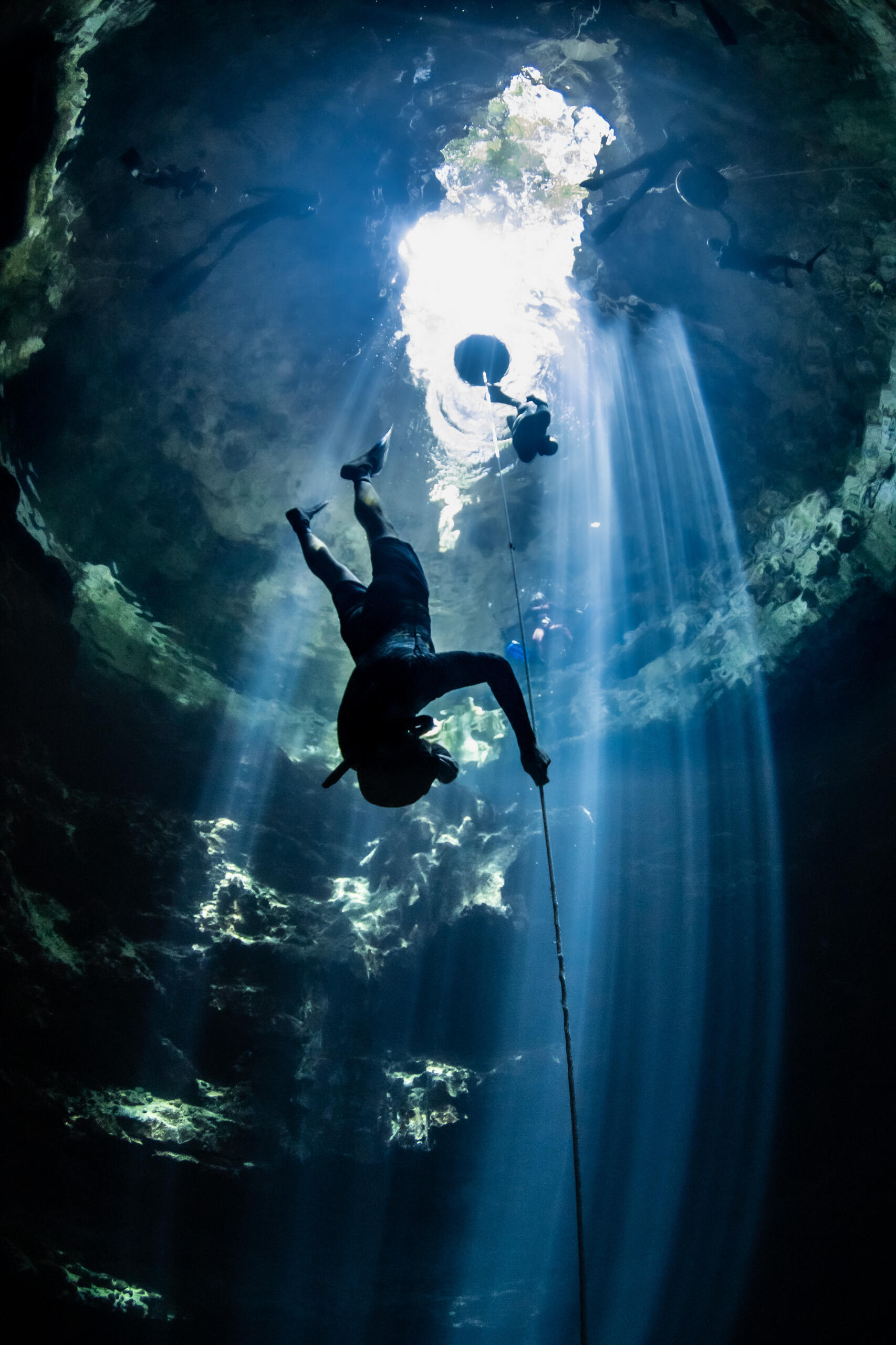 Cenote Freediving Retreat